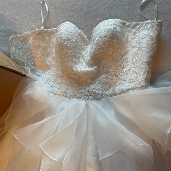 Wedding dress + vail - Picture 4 of 4